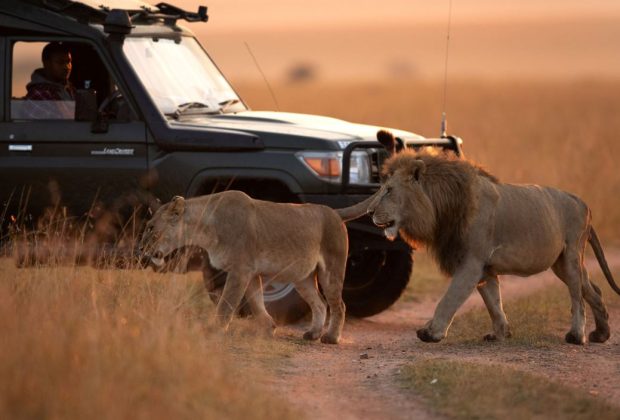 Kenya Camping Safari 3