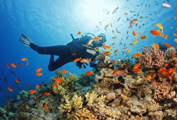 Scuba Diving and Snorkeling Excursions2