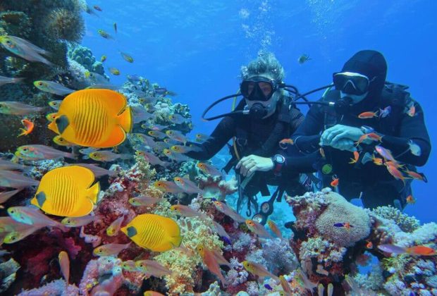 Scuba Diving and Snorkeling Excursions3