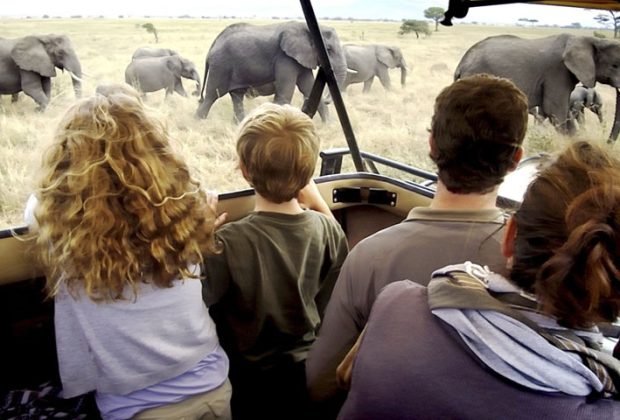 family safaris 2