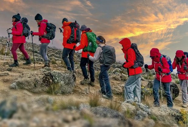 how to plan kilimanjaro climb